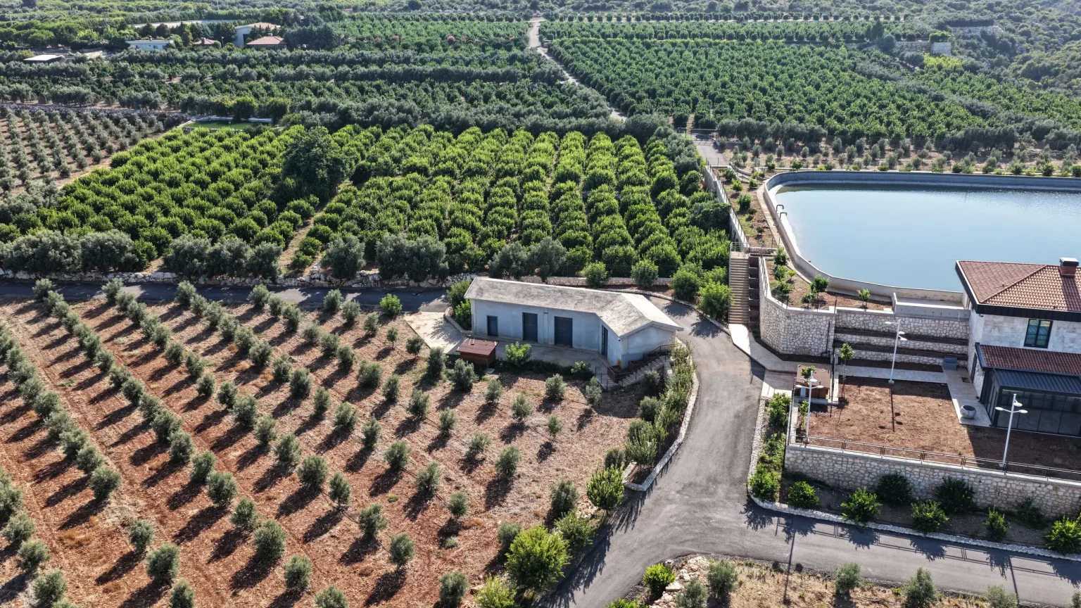 Zeytin ve Narenciye Parselleri