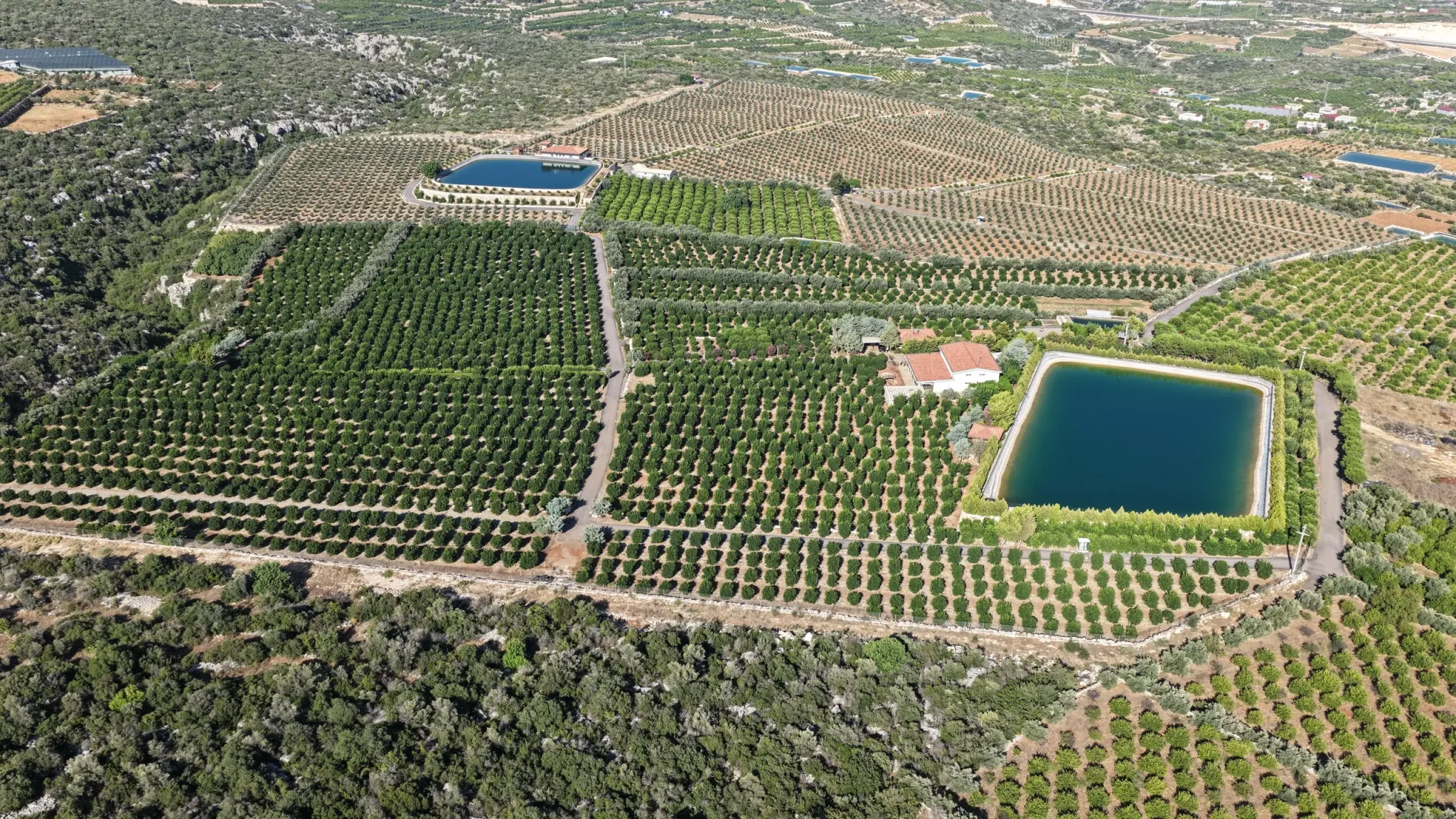 Limonlu Bahçe tarım arazisi havadan görünüm